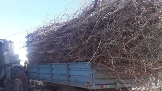 Рейды инспекторов увеличивают КПД