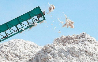 Пахтани қабул қилишда холислик таъминланади