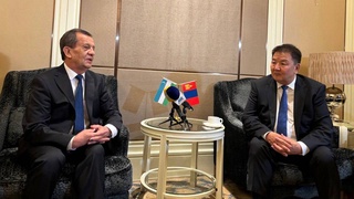 Делегация ЦИК Узбекистана принимает участие в международном наблюдении за парламентскими выборами в Монголии