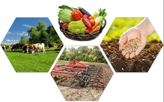 В Узбекистане стартует вторая фаза проекта «Развитие сельского предпринимательства»