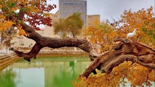 Прогноз погоды на 13 сентября