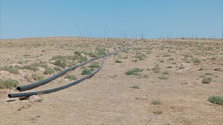 “O'zavtosanoat” bunyod etgan bog' qurib qoldi