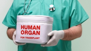 Трансплантациянинг қонуний асослари яратилади