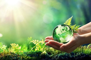 Узбекистан и Китай будут сотрудничать в области охраны окружающей среды