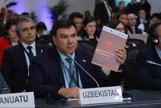 На COP16 предложены меры по выявлению причин пыльно-песчаных бурь и их устранению