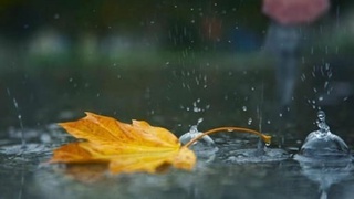 Ертең Өзбекстанның кейбір облыстарында жаңбыр жауады