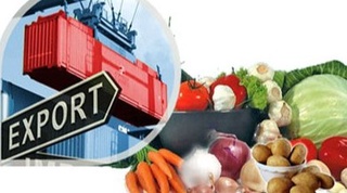 Мева-сабзавот экспорти ҳажми 16,7 фоизга ошди