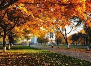 12 сентябрь кунги об ҳаво маълумоти эълон қилинди