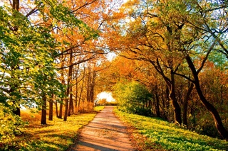 20-ноябрь күнги ҳаўа райы болжаўы