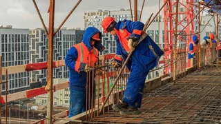 Rossiyadagi mehnat migrantlari qanday himoya qilinadi?