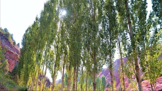 Ертең кей жерлерде 30-35 градус жылы болады