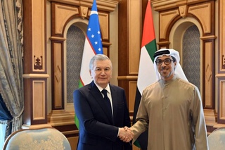 Өзбекстан Президенті БАӘ Вице-президентімен кездесу өткізді