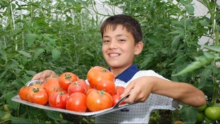 Продовольственная безопасность страны: чтобы достаток был в каждой семье