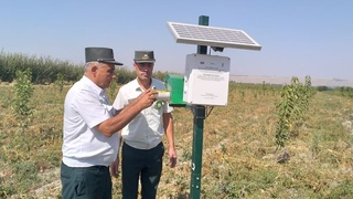 Использование «умных» феромонов в сельском хозяйстве