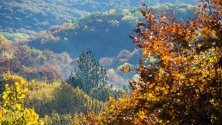 Аптаның екінші жартысында көптен күткен ыстықтың төмендеуі күтілуде — Өзгидромет