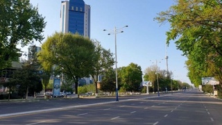 Ҳар бир шаҳар ва туман марказида камида 2 тадан “яшил майдон” ва жамоат парклари ташкил этилади — Президент