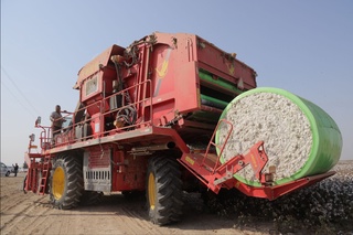 Пахта енди миннетлеме емес, ал пайда дереги