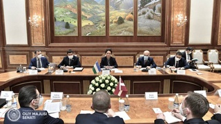 В Сенате состоялась встреча с министром иностранных дел Латвийской Республики