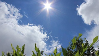 Ushbu haftada harorat keskin pasayishi rostmi?