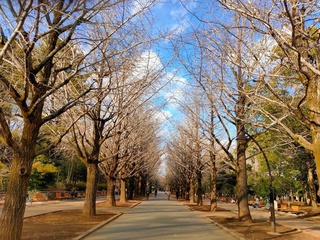 Прогноз погоды на 22 декабря