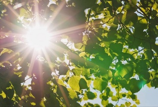 Прогноз погоды на день 12 июля