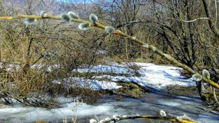 Ушбу ҳафтада вақти-вақти билан ёмғир ёғиши кутилади