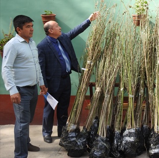 ФАО Наманган вилоятининг тоғли туманларида янги лойиҳани амалга оширмоқда