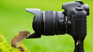 Европейская экономическая комиссия ООН объявила фотоконкурс