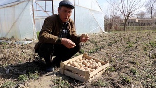 “Lasetti”ning pulini qoʻshnilariga tarqatgan dehqon