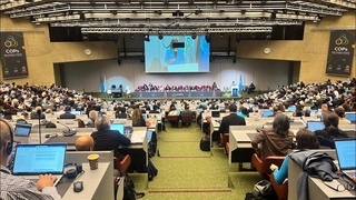 Узбекистан принимает участие в 12-й Конференции сторон Роттердамской конвенции