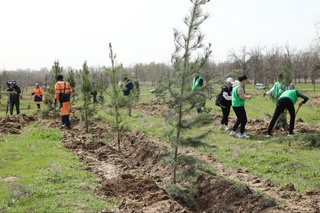 Тамарқадан тиімді пайдаланудың  іс-шаралары өз нәтижесін береді