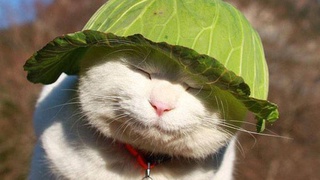 Очень жаркая погода ожидается на выходные