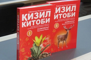 Қизил китобга киритилган ўсимлик ва ҳайвонот турлари муҳофазаси кучайтирилади