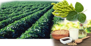 Elga ham qut etkurur, ham barakot