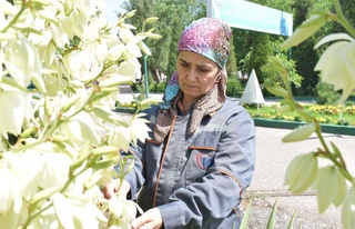 Ўз касбидан фахр туйғусини туйган аёл