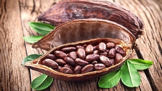 Chocolate producers began to abandon cocoa due to high prices