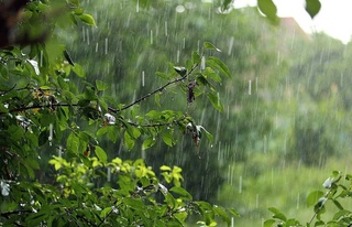 Демалыс күндері салқын және жауын-шашын болады деп күтілуде