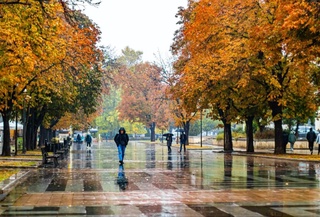 Октябрь айының басында Өзбекстанға суўық ҳәм жаўын кирип келеди