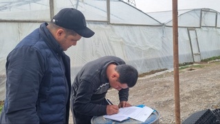 Zangiota, Toshkent, Qibray, Yangiyoʻl tumanlaridagi issiqxonalar faoliyati oʻrganilmoqda