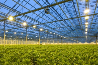 Navoiyda tadbirkorlardan olib kelingan ortiqcha mablag' qaytariladigan bo'ldi