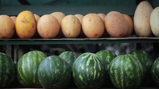 Тарвуз ёки қовун: қайси бири фойдалироқ?