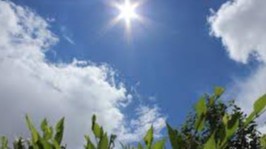 Дам олиш кунлари ҳарорат пасайиши кутилмоқда