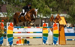 Узбекистанские всадники вышли в финал Кубка Наций