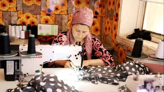 Какую поддержку получают предпринимательские инициативы?