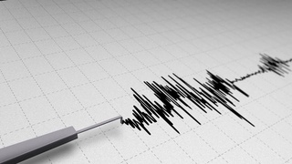 Тожикистонда содир бўлган зилзила Ўзбекистонда ҳам сезилди
