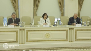 Председатель Сената Олий Мажлиса Узбекистана встретилась с Председателем Милли Меджлиса Азербайджана