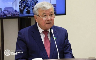 Сенаторами одобрен Конституционный Закон