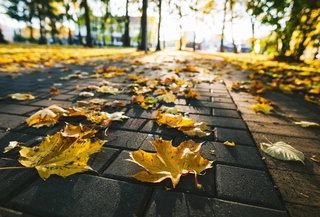 Weather forecast for September 16