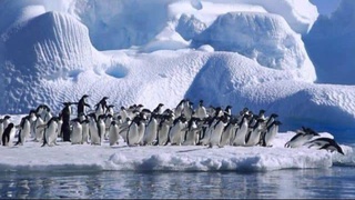 ООН: в Антарктиде зафиксирована аномальная жара