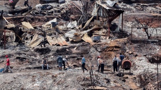 Чилидаги ўрмон ёнғинлари қурбонлари сони 131 кишига етди